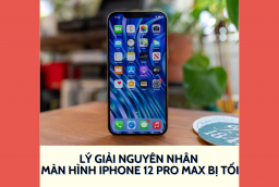 Lý giải nguyên nhân màn hình iPhone 12 Pro Max bị tối
