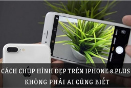 Các cách chụp hình đẹp trên iPhone 8 Plus không phải ai cũng biết