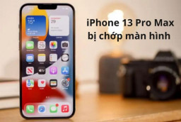 8 cách khắc phục lỗi màn hình iPhone 13 Pro Max chớp tắt liên tục