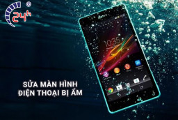 5 bước