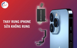 Bảng giá thay rung iPhone chính hãng, uy tín tại HCM