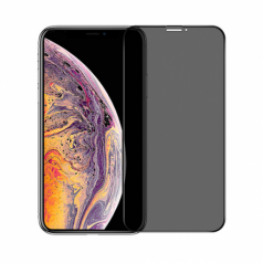 Miếng dán cường lực iPhone XS Max chống nhìn trộm