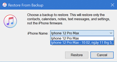 lua-chon-ban-can-restore-backup