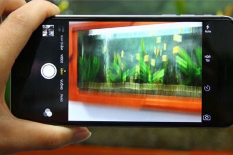 Màn hình iPhone 12 Pro bị lỗi