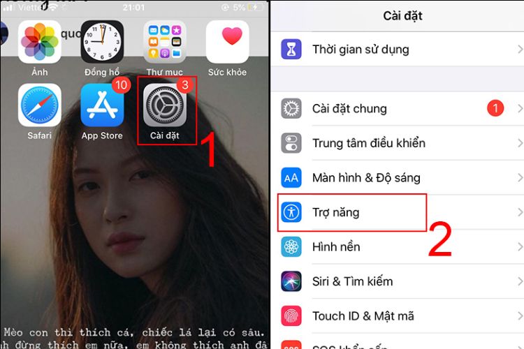 Chọn Trợ năng