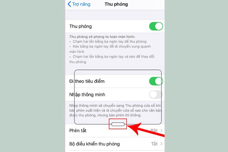 Màn hình Thu phóng cửa sổ hiện ra