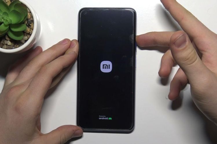 Dấu hiệu main Xiaomi 11 Lite 5G NE bị hỏng