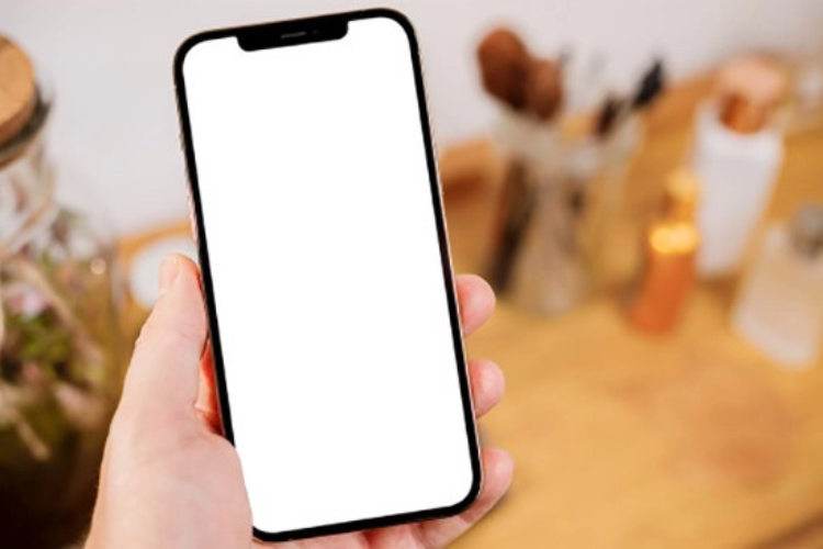 iPhone bị trắng màn hình