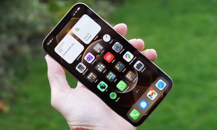iPhone 12 ProMax 256GB Cũ chính hãng.