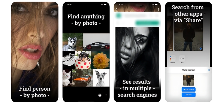 Cách tìm kiếm bằng ảnh thông qua Photo Sherlock