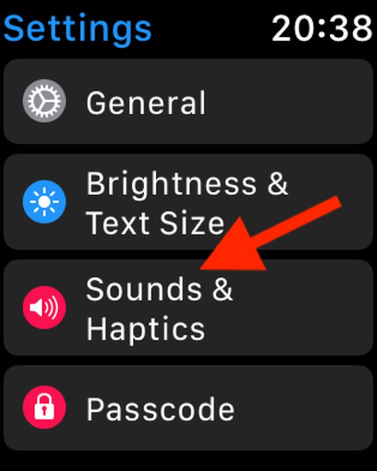Bật Haptics