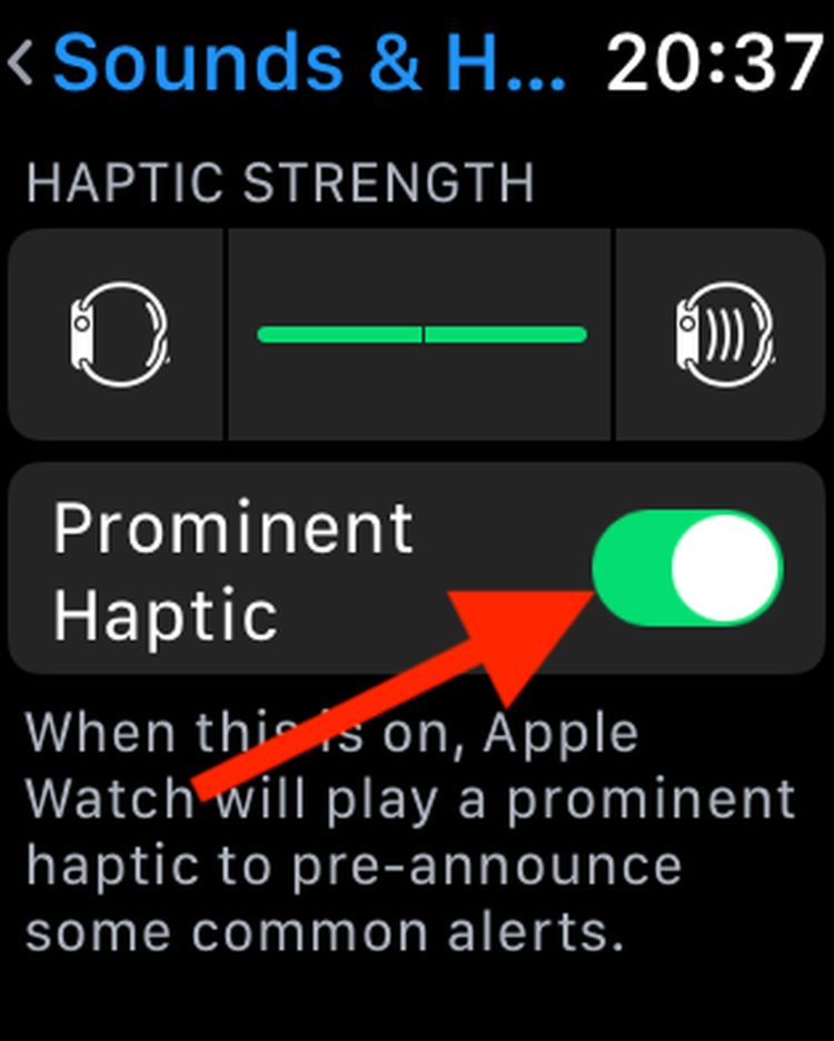 Bật Haptics