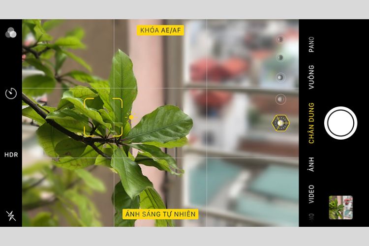 cách chụp hình đẹp trên iphone 8 plus8