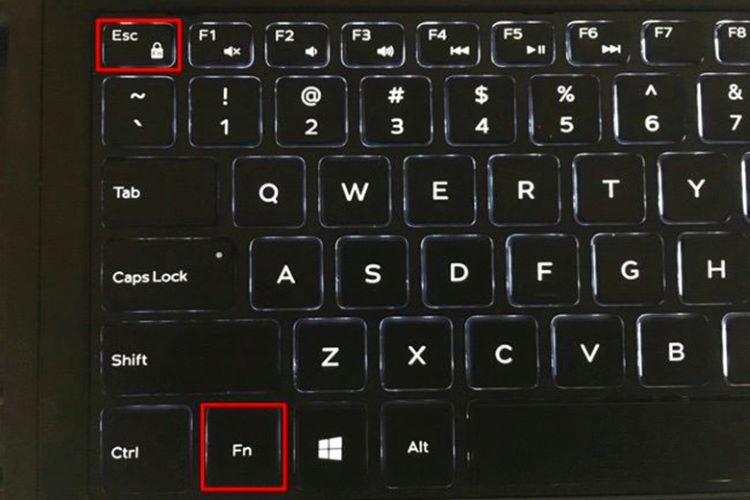 Bật/tắt phím Fn 