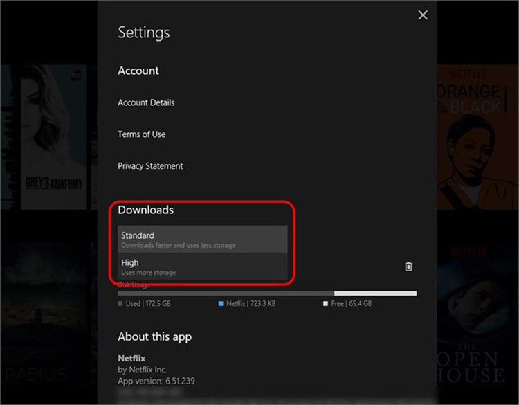 Cách tải phim trên Netflix về máy tính