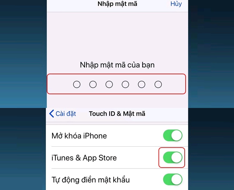 Bước nhập mã và tắt iTunes & App Store