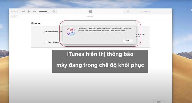 cách đưa iPhone về chế độ DFU 