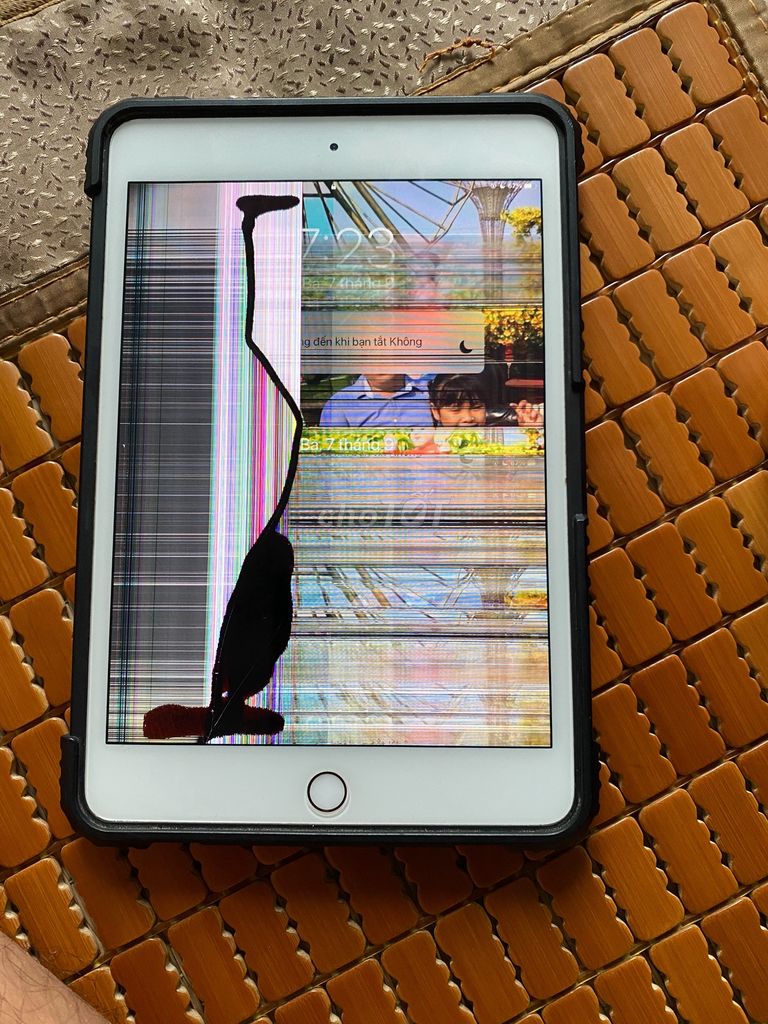 thay-man-hinh-ipad-mini-5