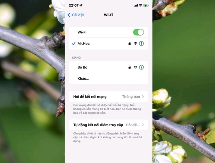 Bạn hãy thử kiểm tra kết nối mạng nếu không thể tải ứng dụng từ App Store