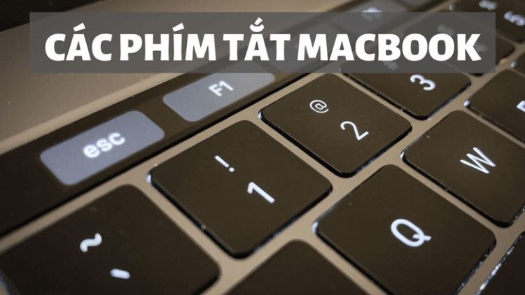 Các tổ hợp phím