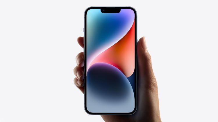 Một số loại màn hình iPhone 14 Plus phổ biến trên thị trường hiện nay