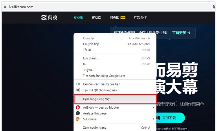 Chọn dịch sang ngôn ngữ tiếng Việt