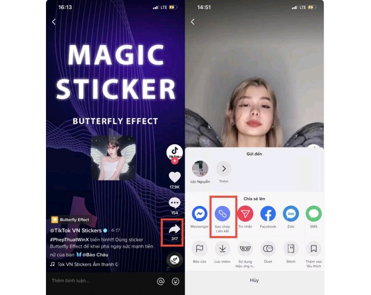 Bước sao chép liên kết video bạn cần tải về máy