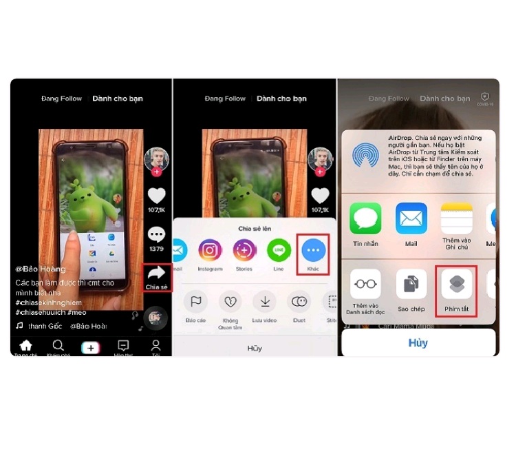 Những bước sau cùng để bạn tải xuống video TikTok không logo từ thiết bị chạy iOS 12/13