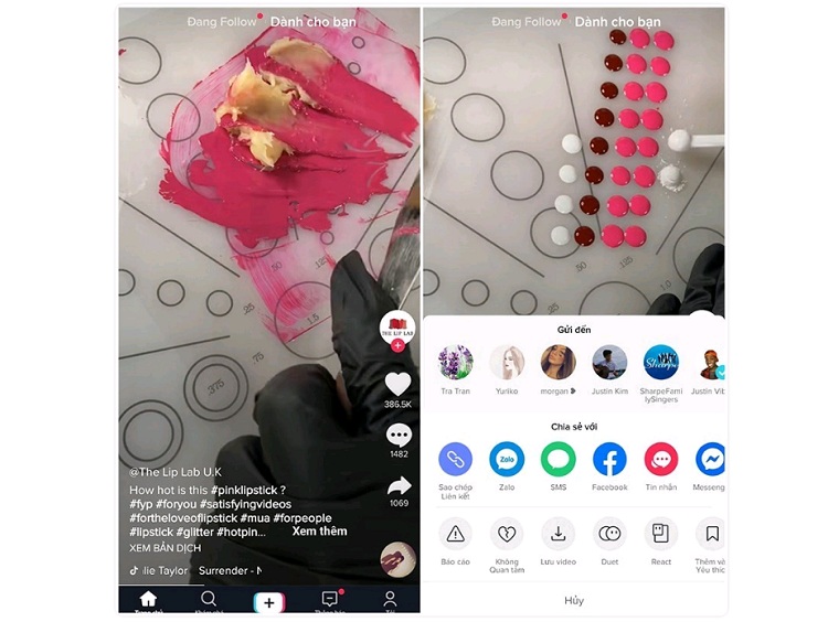Công đoạn sao chép liên kết video từ TikTok mà bạn cần tải về