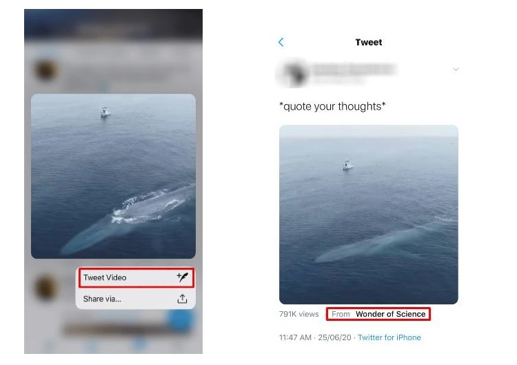 Cách nhúng video trên Twitter dành cho người dùng iOS