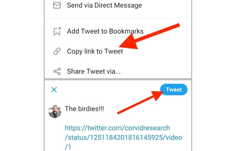 Không cần retweet, bạn cũng có thể nhúng video từ bài đăng của người khác trên Twitter
