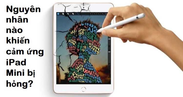 nguyên nhân khiến màn hình iPad Mini 5 bị hỏng 
