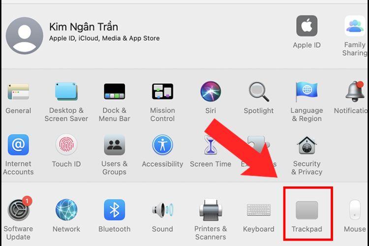 Tùy chỉnh thao tác trên TrackPad