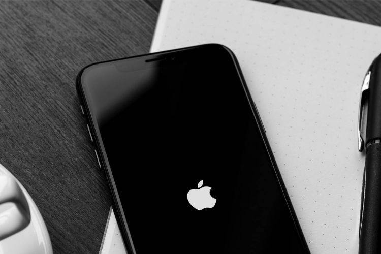xs max liệt cảm ứng1