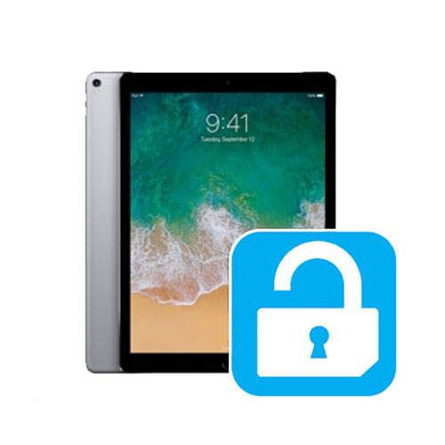 Mở khóa iPad mini 2 3G (A1490, A1491)